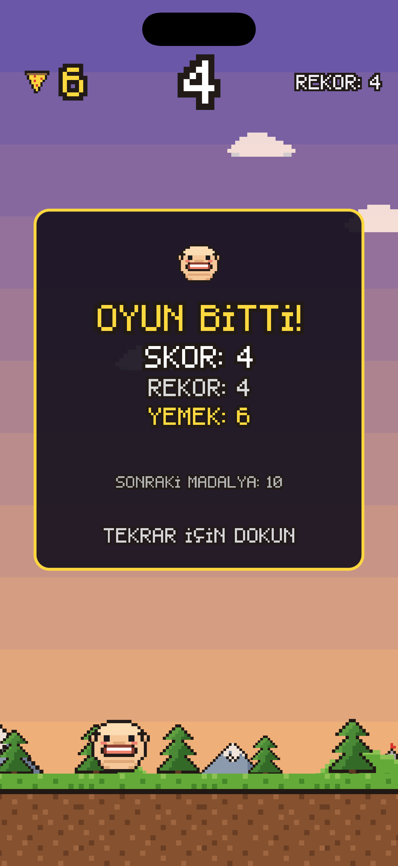 Oyun sonu ve madalyalar